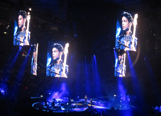 Prince Concert